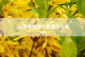 dnf发布网哪个直播平台多