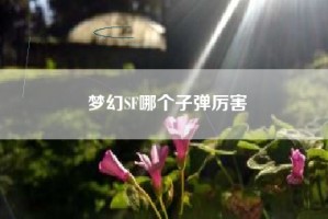 梦幻SF哪个子弹厉害
