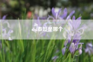 dnf泰坦是哪个