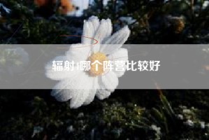 辐射4哪个阵营比较好