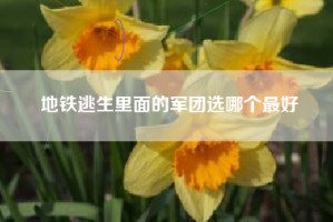 地铁逃生里面的军团选哪个最好
