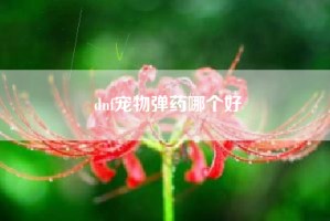 dnf宠物弹药哪个好