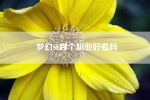 梦幻SF哪个职业好看吗