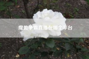 魔兽争霸直播在哪个平台