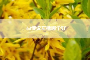 dnf传说左槽哪个好