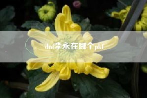 dnf李永在哪个pkf