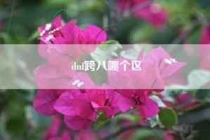 dnf跨八哪个区