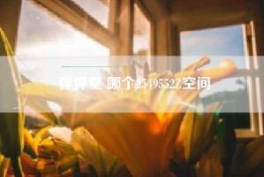 弹弹堂 哪个2549552Z空间
