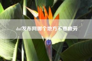 dnf发布网哪个地方不要疲劳