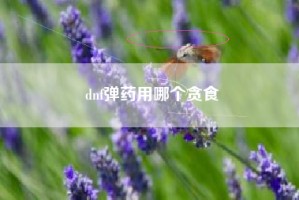 dnf弹药用哪个贪食