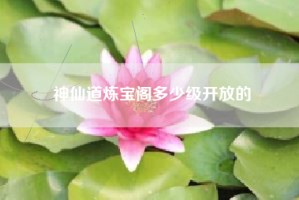 神仙道炼宝阁多少级开放的