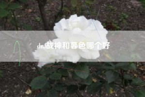 dnf战神和暮色哪个好