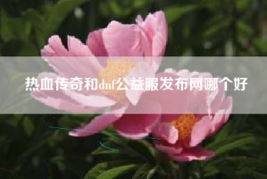 热血传奇和dnf公益服发布网哪个好