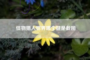 怪物猎人世界哪个键是截图