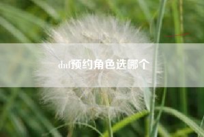 dnf预约角色选哪个