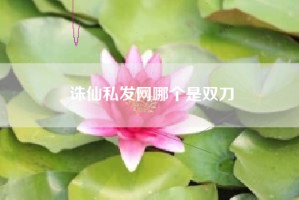 诛仙私发网哪个是双刀