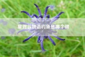 星露谷物语钓鱼是哪个键