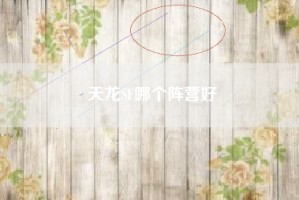 天龙SF哪个阵营好