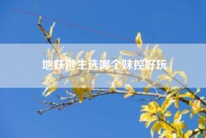 地铁逃生选哪个妹控好玩