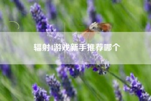 辐射4游戏新手推荐哪个