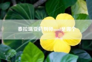 泰拉瑞亚药剂师mod是哪个