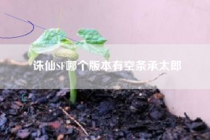 诛仙SF哪个版本有空条承太郎