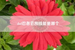 dnf忍者范围技能是哪个