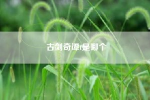 古剑奇谭t是哪个