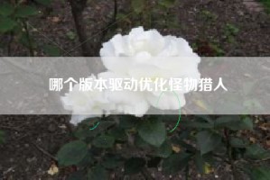 哪个版本驱动优化怪物猎人