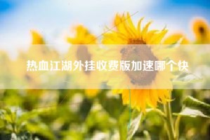 热血江湖外挂收费版加速哪个快