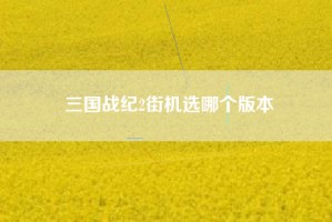 三国战纪2街机选哪个版本