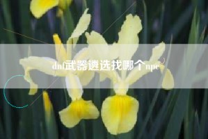 dnf武器遴选找哪个npc