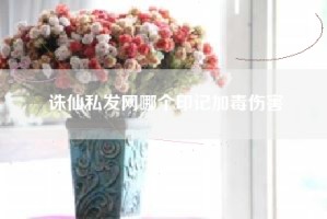 诛仙私发网哪个印记加毒伤害