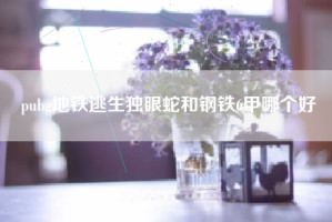 pubg地铁逃生独眼蛇和钢铁6甲哪个好