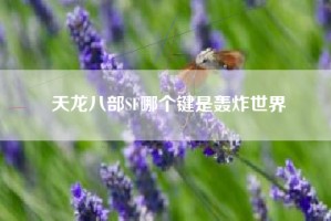 天龙八部SF哪个键是轰炸世界