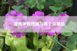 魔兽争霸熊猫与哪个英雄搭