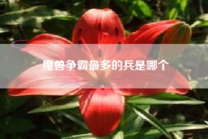 魔兽争霸最多的兵是哪个