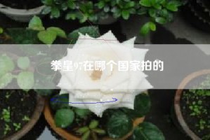 拳皇97在哪个国家拍的