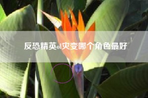 反恐精英ol灾变哪个角色最好