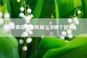 泰拉瑞亚机械三王哪个厉害