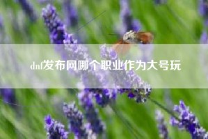 dnf发布网哪个职业作为大号玩