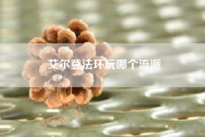 艾尔登法环玩哪个流派