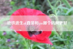 地铁逃生ak直装和gm哪个防风更好
