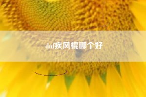 dnf疾风棍哪个好