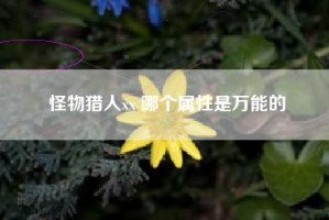 怪物猎人xx 哪个属性是万能的