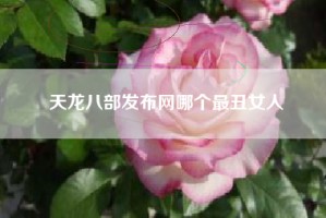 天龙八部发布网哪个最丑女人