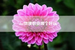 dnf物理职业哪个好玩