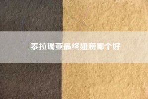 泰拉瑞亚最终翅膀哪个好