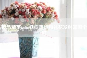 反恐精英onlin铁血重炮和礼花发射器哪个好