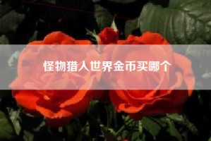 怪物猎人世界金币买哪个